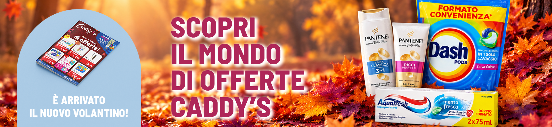 Scopri le nuove offerte!